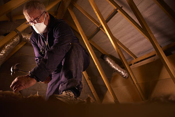 Best DIY Insulation Kits and Guidance in Tucker, GA
