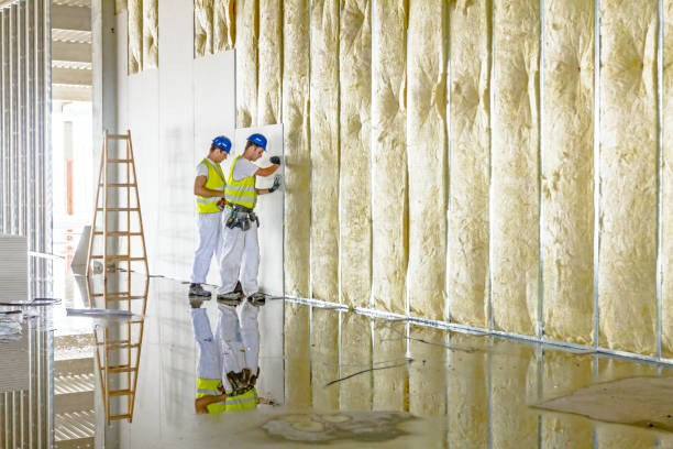 Best Geographic-Specific Insulation Services in Tucker, GA